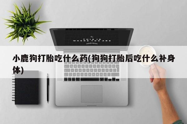 打胎药使用小鹿狗打胎吃什么药(狗狗打胎后吃什么补身体)