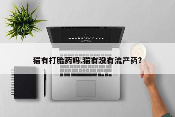 打胎药使用猫有打胎药吗.猫有没有流产药？